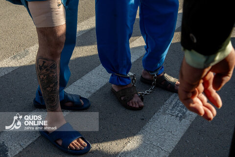 دستگیری گسترده سارقان و مالخران