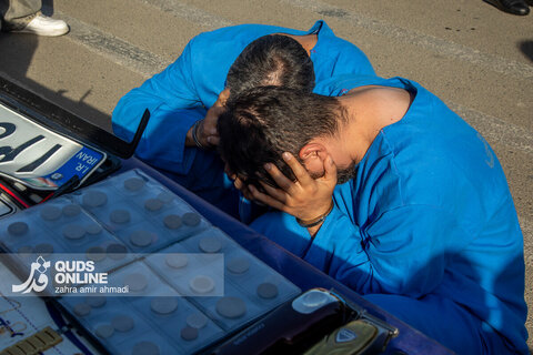 دستگیری گسترده سارقان و مالخران