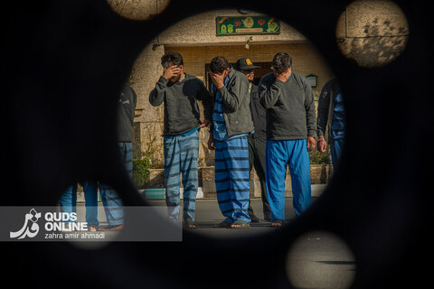 دستگیری گسترده سارقان و مالخران