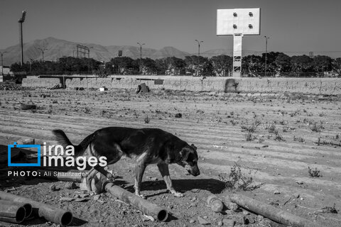 فوتبال در قلعه