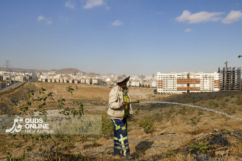 هوای قابل قبول مشهد پس از ۲۷ روز آلودگی