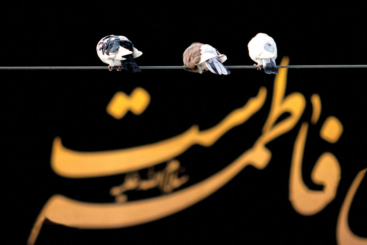 مقاومت تنها در مشکلات مادی نیست، در زمینه فرهنگی هم است / تربیت نسل مقاوم در پرتو سیره حضرت زهرا(س)