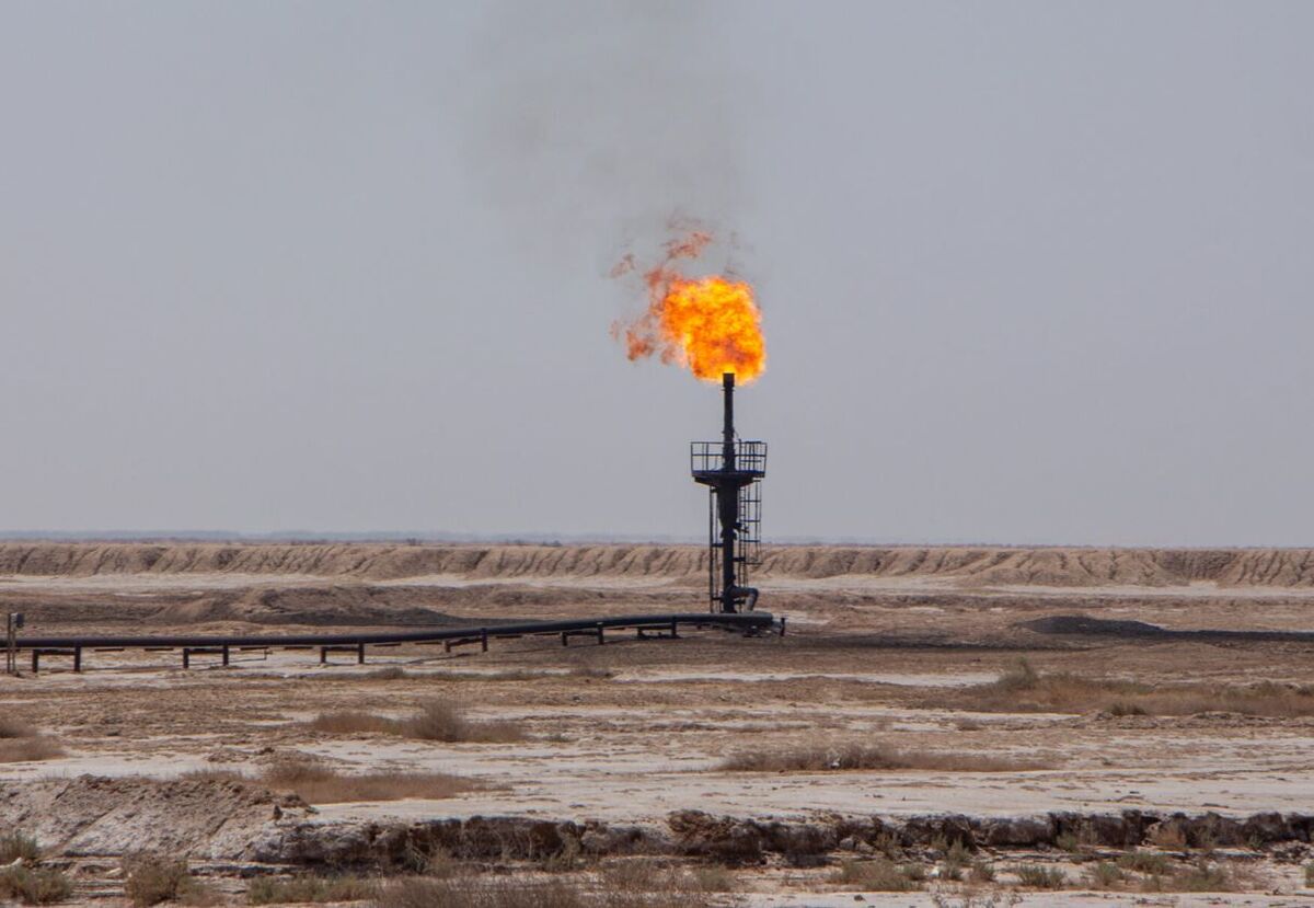 الزام شرکت نفت به جبران خسارت‌های زیست‌محیطی برداشت نفت از هورالعظیم