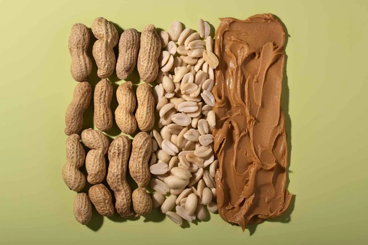 بدن انسان می‌تواند یاد بگیرد/ درمان آلرژی پیدا شد