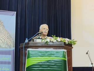 زنگ خطر برای زیستگاه یوز ایرانی؛ تیشه معدن بوکسیت به ریشه توسعه پایدار