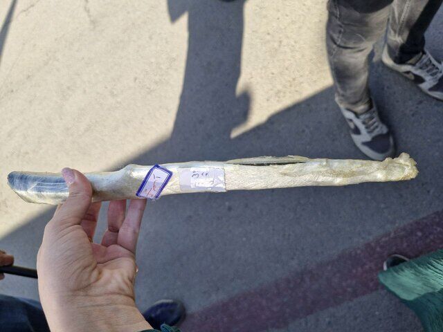 پوشش سلفون؛ شگرد تازه زورگیران برای فرار از مجازات‌های سنگین