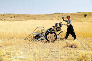 کشاورزان خراسان شمالی ۱۴ میلیون لیتر سوخت پاییزه دریافت کردند