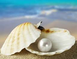 بندر مقام، پایتخت مروارید ایران می‌شود؟