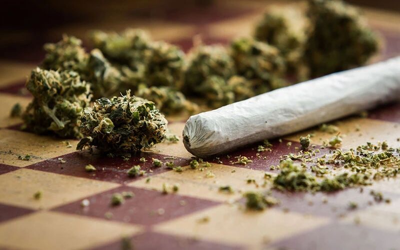 افزایش قدرت تخریب «گل» با دستکاری فرم‌های ژنتیکی آن / گل از «حشیش» هم ویران‌کننده‌تر است