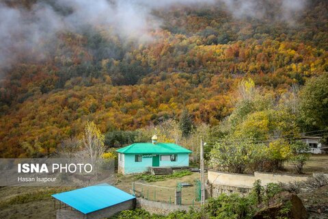 سوادکوه؛ مقصدی برای تماشای زودترین پاییز شمال