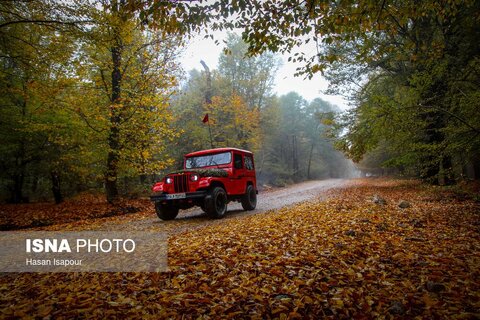 سوادکوه؛ مقصدی برای تماشای زودترین پاییز شمال