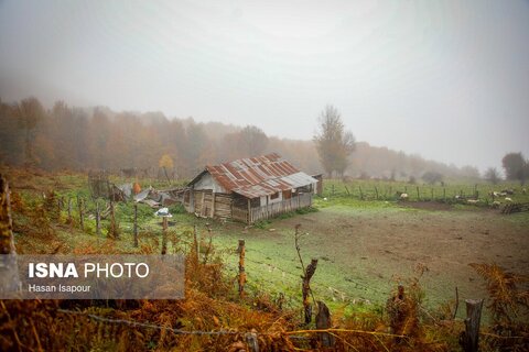 سوادکوه؛ مقصدی برای تماشای زودترین پاییز شمال
