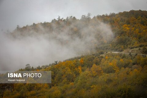 سوادکوه؛ مقصدی برای تماشای زودترین پاییز شمال