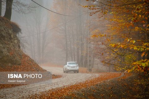 سوادکوه؛ مقصدی برای تماشای زودترین پاییز شمال