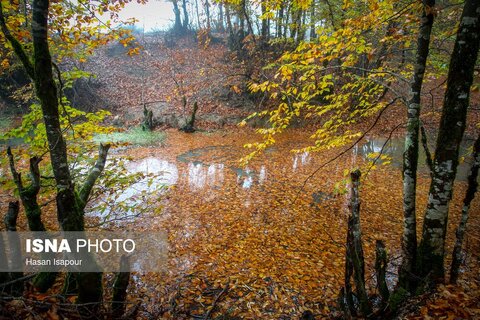 سوادکوه؛ مقصدی برای تماشای زودترین پاییز شمال