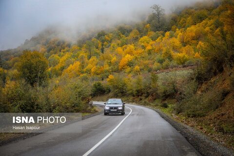 سوادکوه؛ مقصدی برای تماشای زودترین پاییز شمال