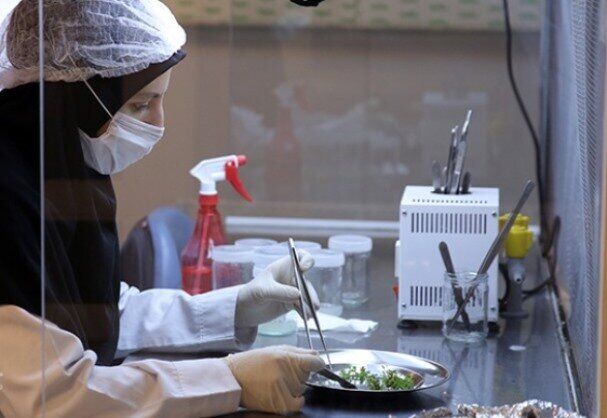 با تامین منابع مالی، دانشگاه‌ها می‌توانند تحریم‌ها در حوزه علم و فناوری را دور بزنند