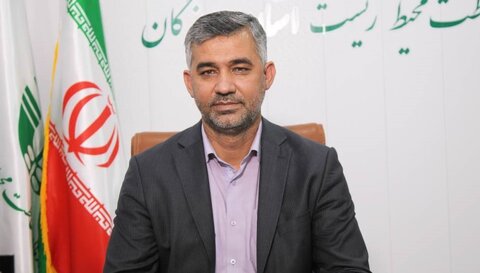 کوسههای خلیج فارس صید رستورانهای لوکس می شوند