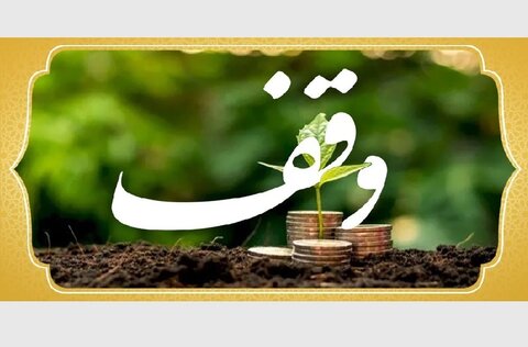 وقف مشارکتی ویژه بانوان، الگویی نوآورانه در حوزه نیکوکاری