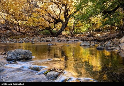 طبیعت پاییزی باغهای گردو کهمان شهرستان سلسله
