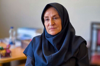 به‌کار بردن اصطلاحات انگلیسی نوعی تفاخر کاذب شده است/ زبان فارسی با پیشینه‌ای که دارد از بین نخواهد رفت