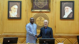 مؤمنی: هیچ محدودیتی در توسعه روابط با کشورهای آفریقایی نداریم