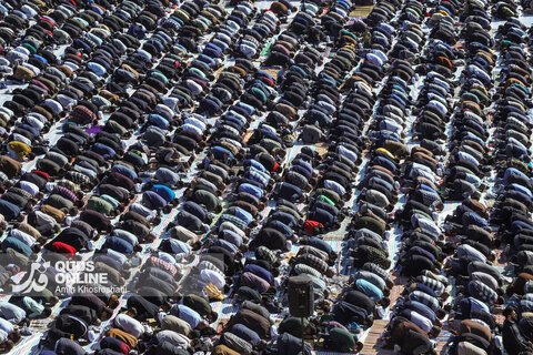 اقامه نماز طلب باران در مشهد