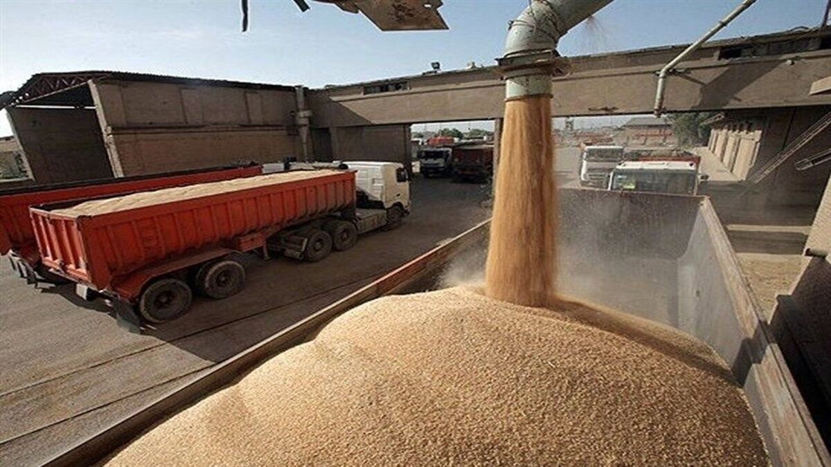 دولت و آزمون دشوار اعتمادسازی در خرید تضمینی گندم