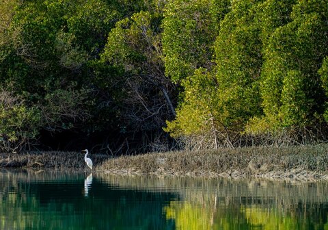 «سیریک» نگینی پنهان در نوار ساحلی مَکُران