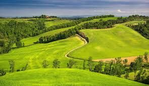 ممنوعیت واگذاری اراضی ملی مازندران برای سرمایه‌گذاری