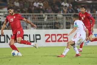 محبی: نگاه قلعه‌نویی شمشیر دولبه است