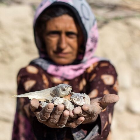 انبار غله ایران خالی از نان