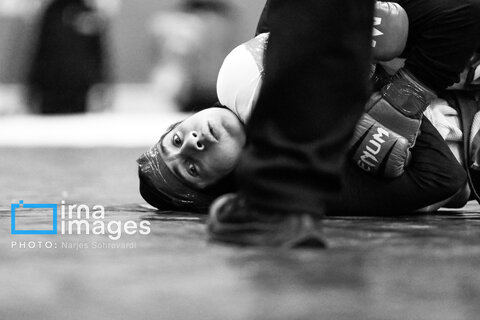 مسابقات MMA زنان قهرمانی کشور