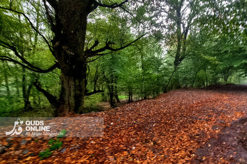 گزارش تصویری | طبیعت زیبای آبشار شیرآباد - استان گلستان