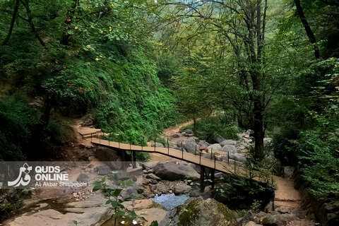 گزارش تصویری | طبیعت زیبای آبشار شیرآباد - استان گلستان