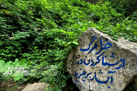 گزارش تصویری | طبیعت زیبای آبشار شیرآباد - استان گلستان