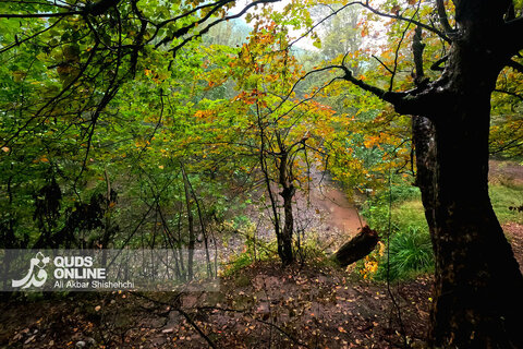 گزارش تصویری | طبیعت زیبای آبشار شیرآباد - استان گلستان