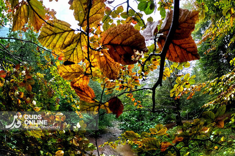 گزارش تصویری | طبیعت زیبای آبشار شیرآباد - استان گلستان