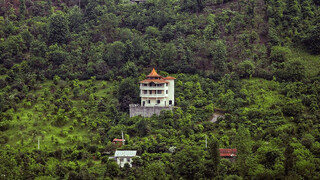 دست «جنگل خواران» از جنگل های مازندران کوتاه شد