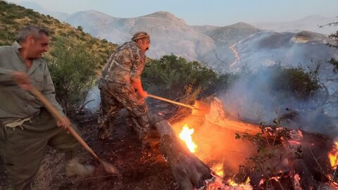 میراث جهانی پارک ملی گلستان در آتش