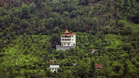 دست «جنگل خواران» از جنگل های مازندران کوتاه شد