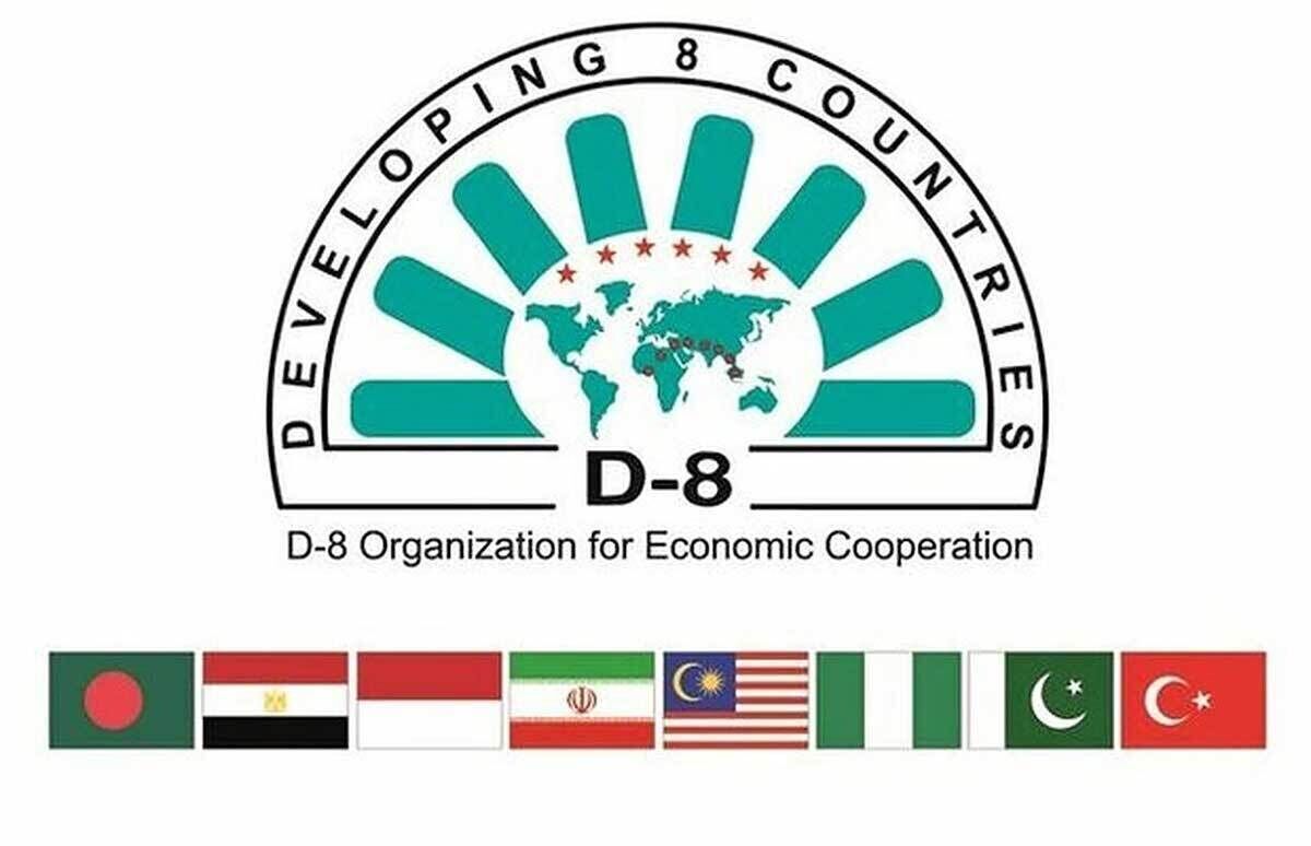 آغاز اجلاس وزرای بهداشت گروه ۸-D در قاهره/ حضور هیات ایرانی به سرپرستی معاون وزیر بهداشت