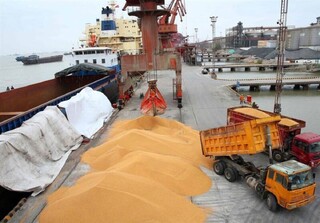 حذف ارز ترجیحی سبب حذف تولید برخی نهاده‌ها نشود