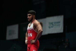 فرخی طلایی شد