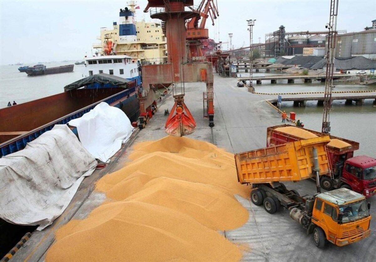 حذف ارز ترجیحی سبب حذف تولید برخی نهاده‌ها نشود