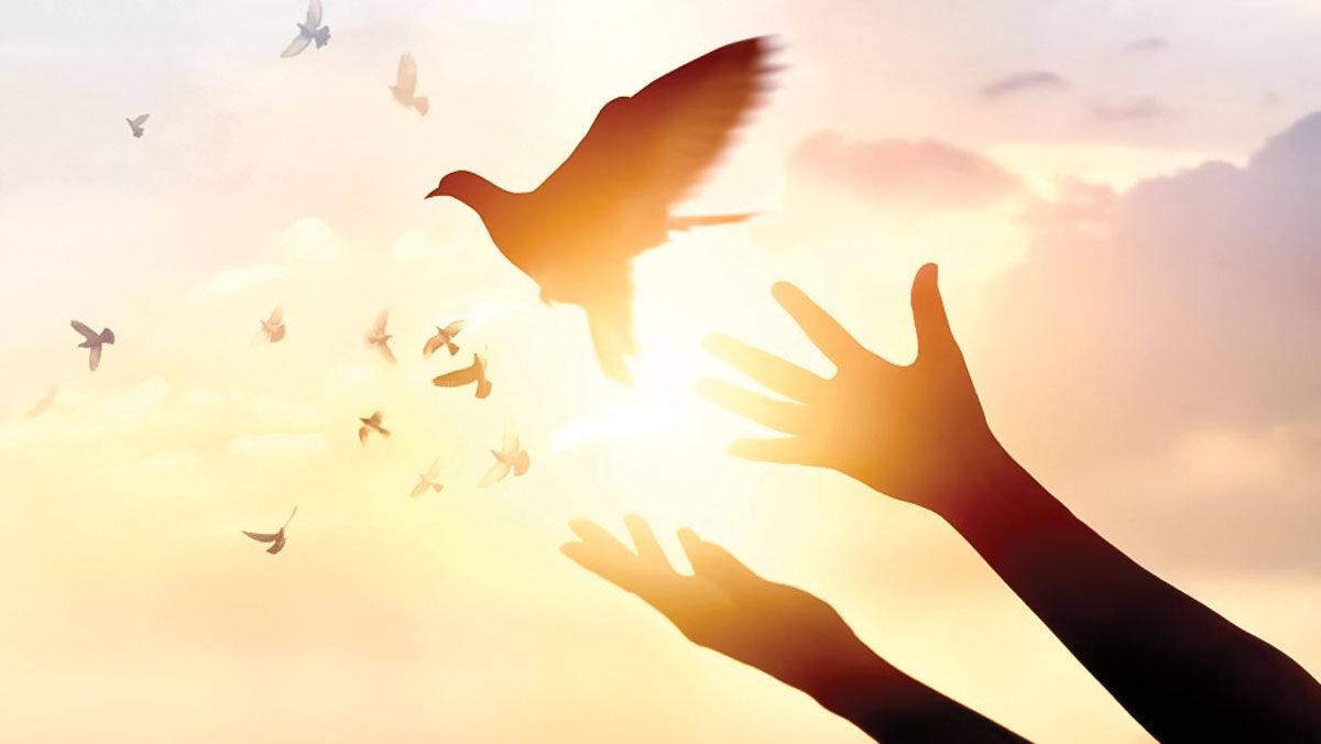 منشور «صفح جمیل» در سیره رضوی؛ گذشتی فراتر از بخشش