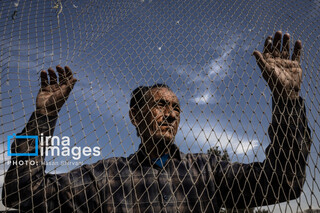 جمعه‌ها در قفس