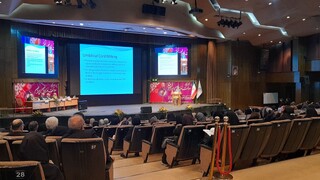 ۱۰ درصد تولدها در ایران نوزادان نارس هستند/ هشدار درباره نقش سزارین‌های زودرس و مراقبت ناکافی بارداری