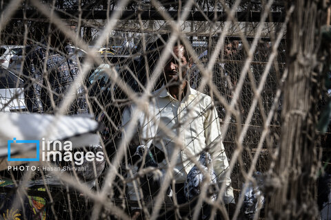 جمعه‌ها در قفس