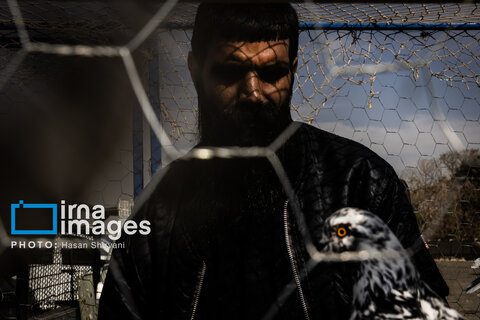 جمعه‌ها در قفس